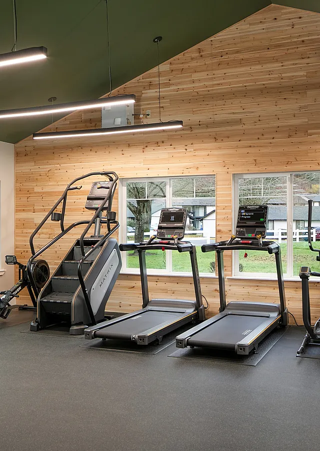 Modern fitness center with sleek equipment, large windows, and chic wooden accents, offering a vibrant workout space.