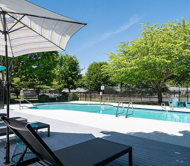 Inviting outdoor pool area with sleek lounge chairs and vibrant umbrellas surrounded by lush green trees.