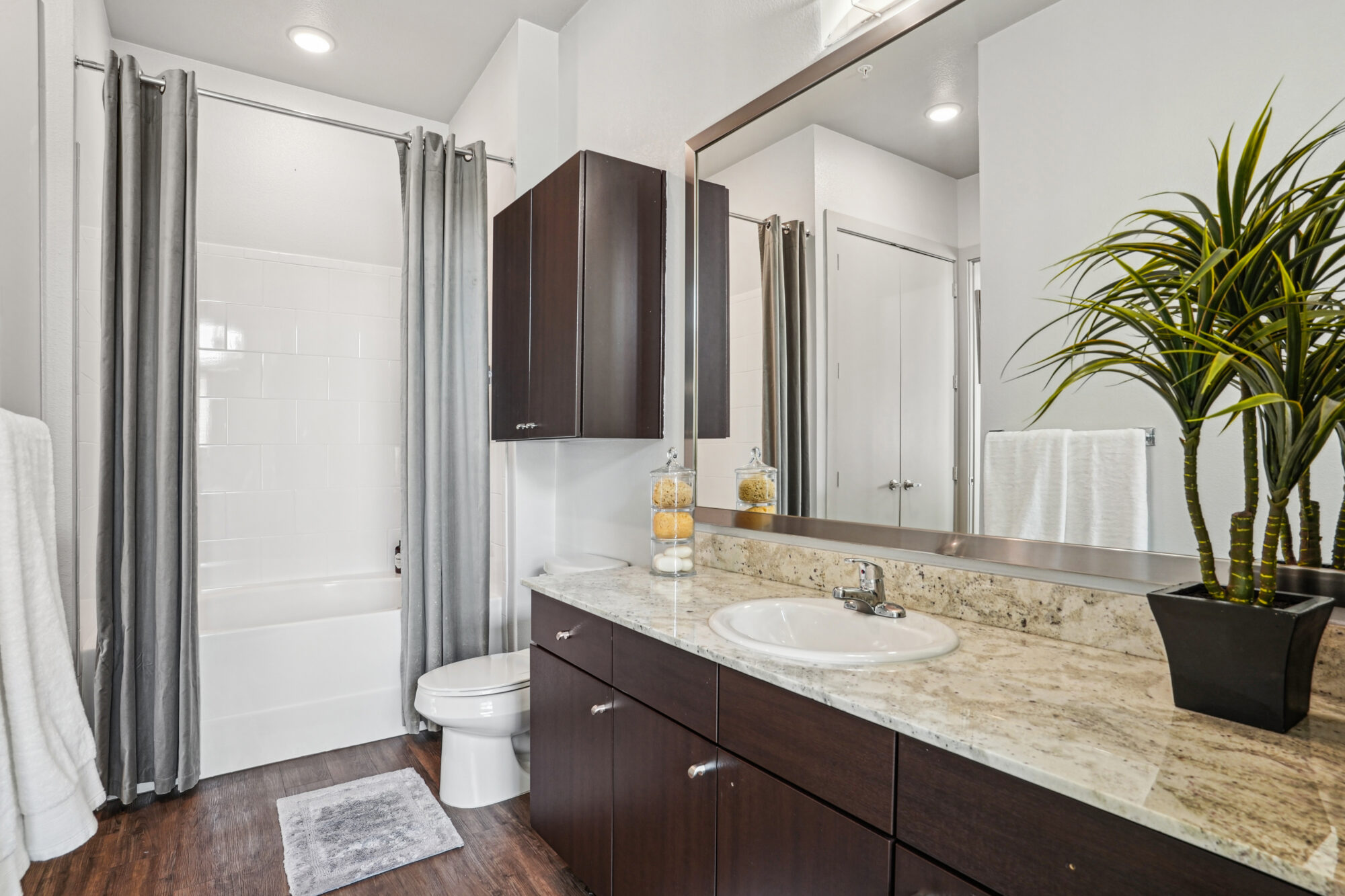 Bell Knox District apartment interior with open living space and contemporary design