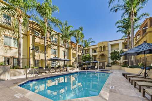 A swimming pool surrounded by palm trees and lounge chairs.