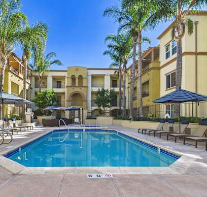 A pool surrounded by palm trees and lounge chairs.