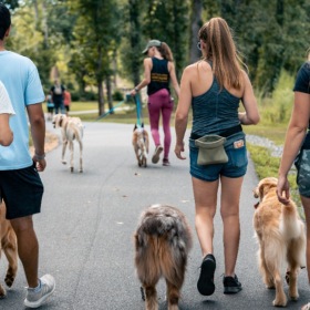 a group of people walking their pets