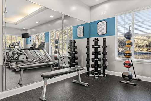 A gym with a row of treadmills, a bench, and a wall of dumbbells.