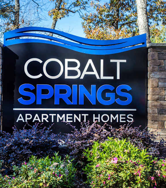Lobby area at Cobalt Springs Apartment Homes in Taylors SC