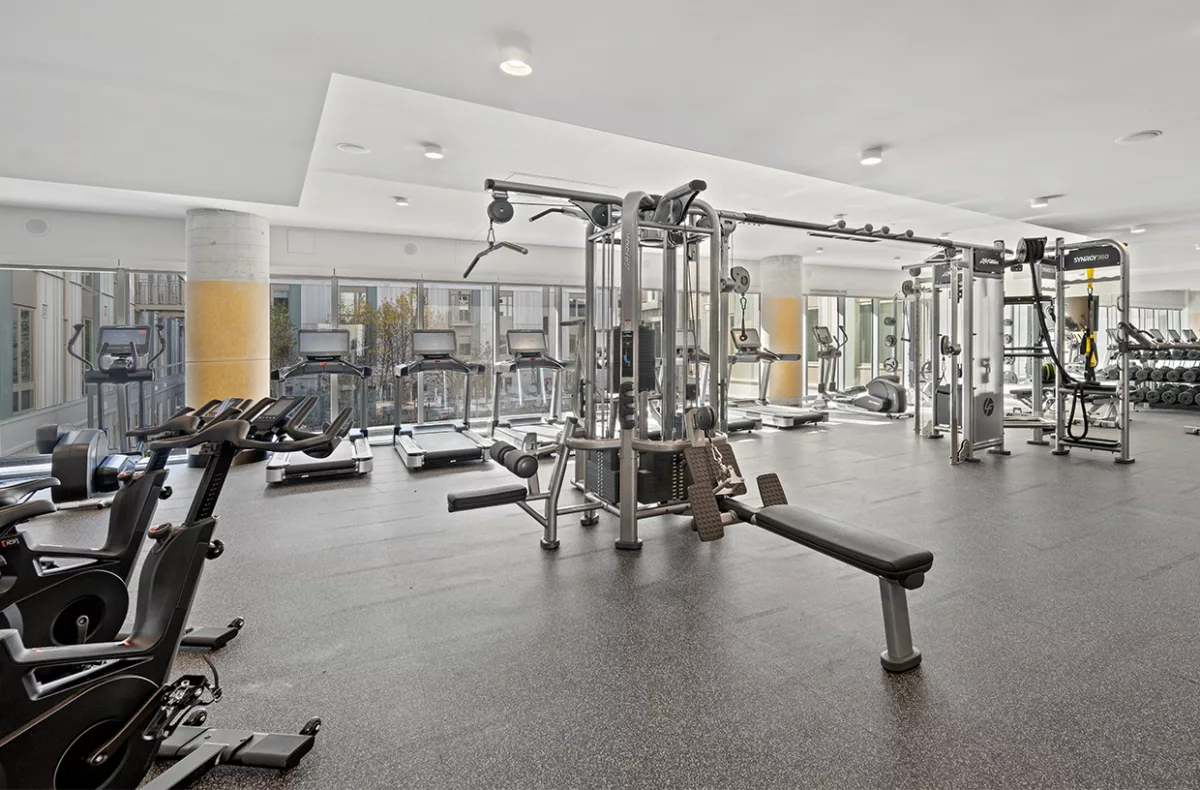 The Laurent Gym