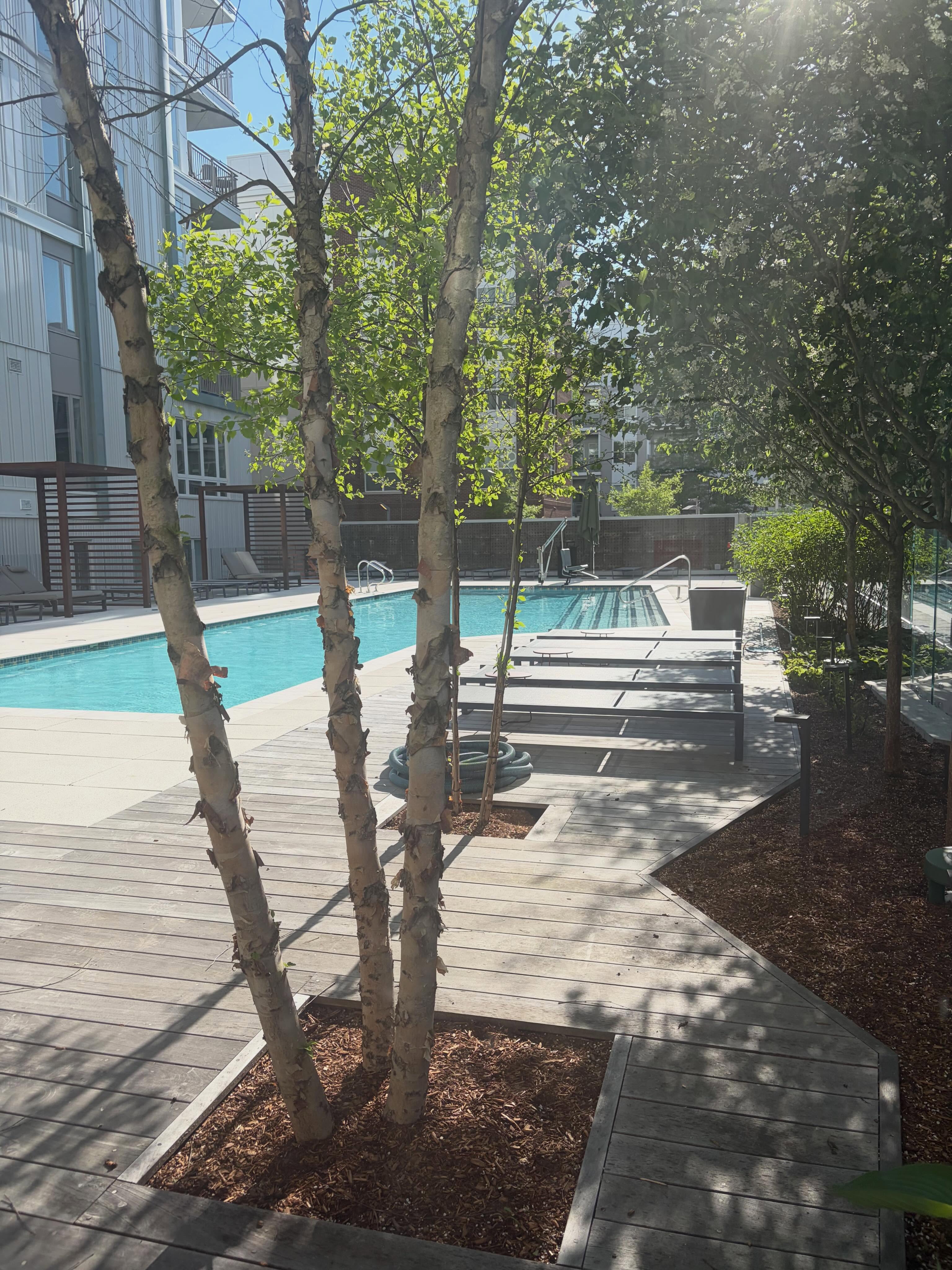 ☀️Pool season is finally here!🌊 The pool officially opens tomorrow and will be open daily from 9AM - 8PM, seven days a week. Get ready for sunny afternoons and summer by the water right at home. 🕶️✨#bozzutoliving #livethelaurent #cambridgeapartments #summer