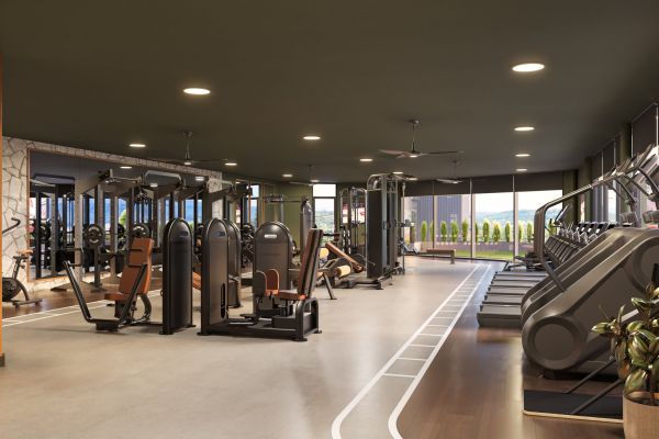 Modern gym with treadmills, weight machines, large windows, and plants along the side of the room.