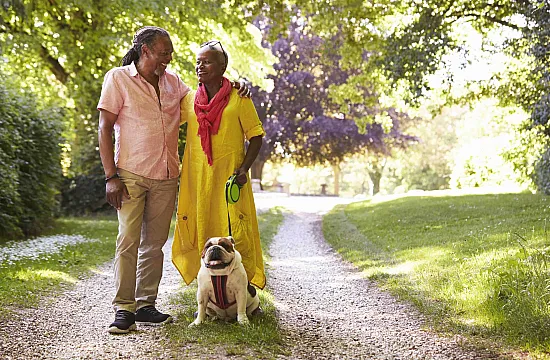 Happy couple walking their bulldog on a scenic, tree-lined path in a sunlit park.