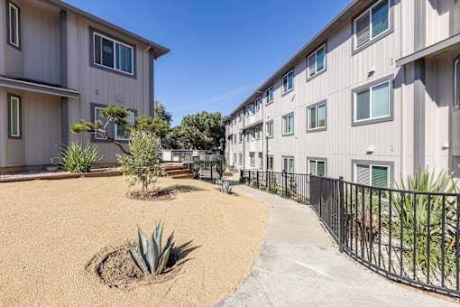 A concrete courtyard with a small tree and a fence.
