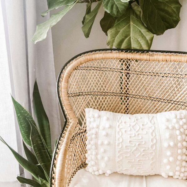 Elegant wicker chair and large plant in apartment living room.