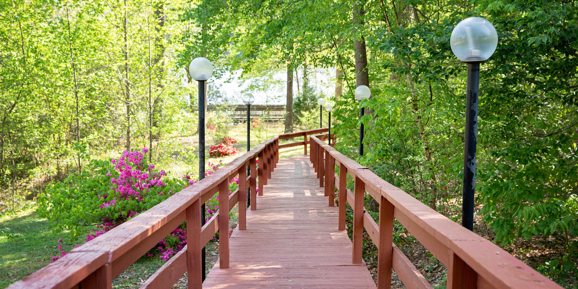 Apartments in Raleigh, North Carolina at Lake Lynn Reserve Apartments