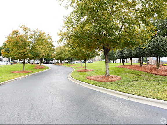 A tree-lined street with a curved road.
