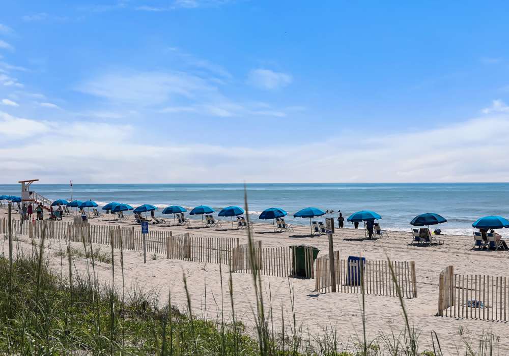 live near the beach at hudson carolina forest apartments for rent carolina forest Myrtle Beach cityscape, near Hudson Carolina Forest