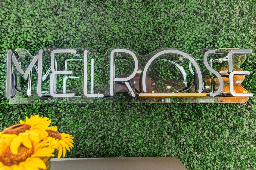 A clear sign displaying the word "MELROSE," set against a background of artificial green foliage. A small bouquet of sunflowers is partially visible in the lower left corner, adding a vibrant touch to the scene.