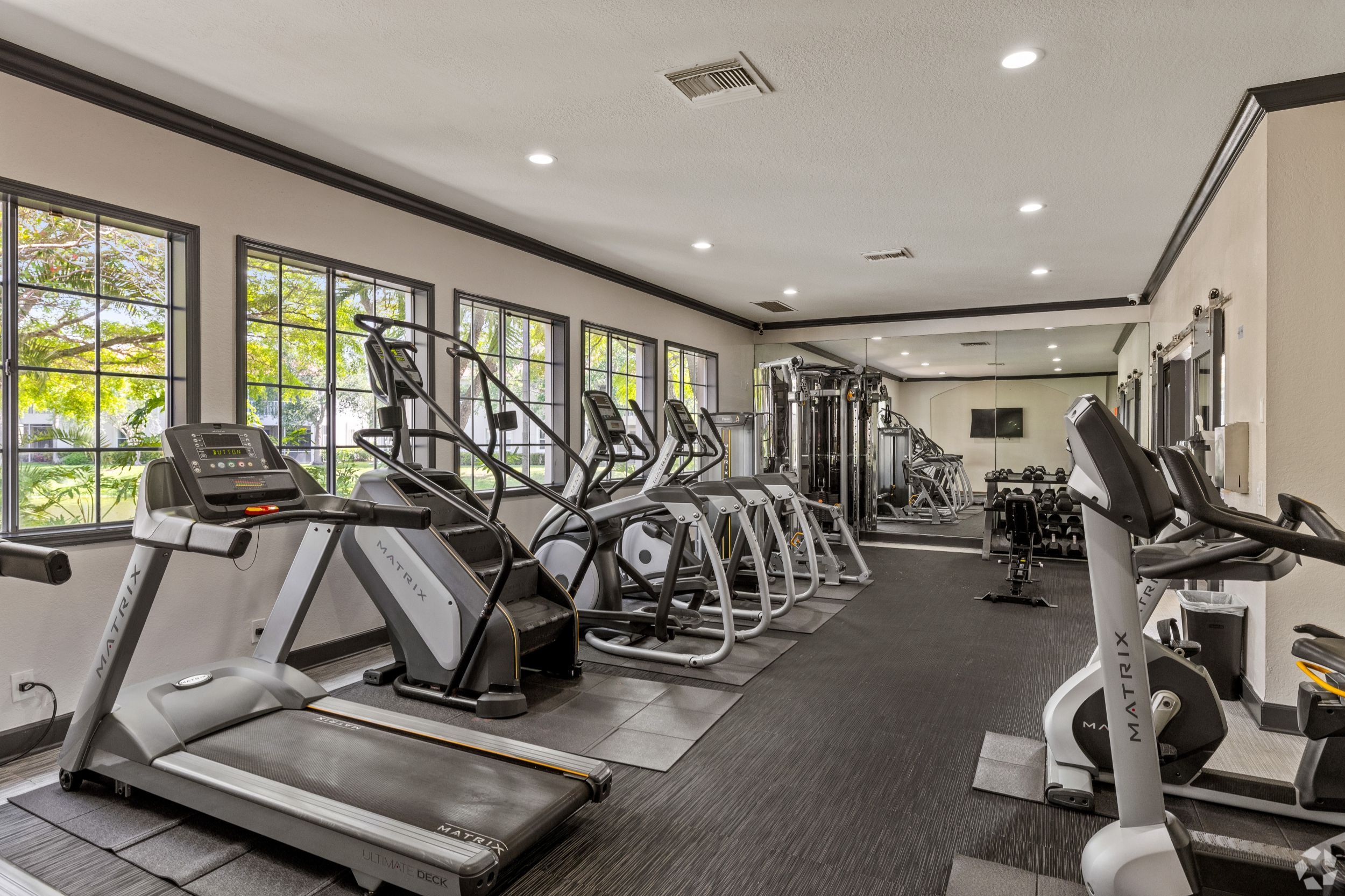 A modern gym equipped with various cardio machines and weights.