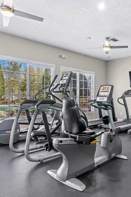 A gym with treadmills, elliptical machines, and a television.