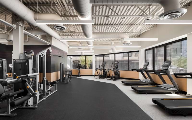 Modern gym