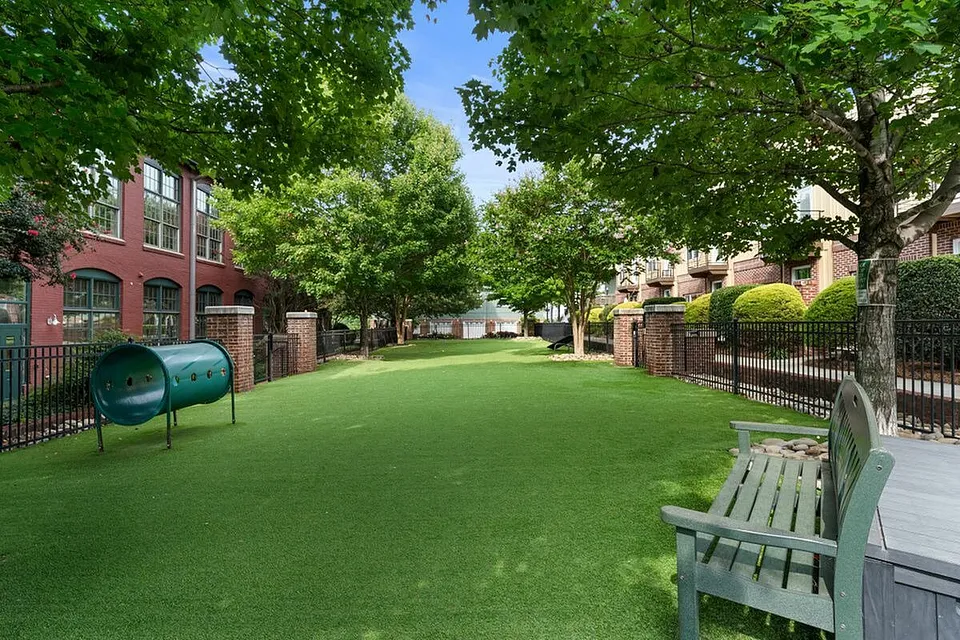 Charming green space with vibrant trees and cozy benches, perfect for relaxation in a welcoming apartment community at Alpha Mill Apartments in Uptown Charlotte NC