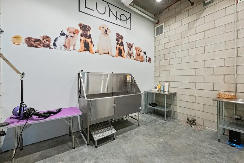 Pet spa