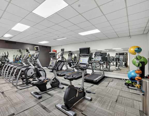 A gym with treadmills, exercise bikes, and other equipment.