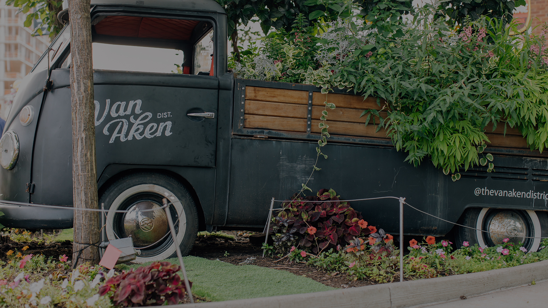 The Van Aken District Experience