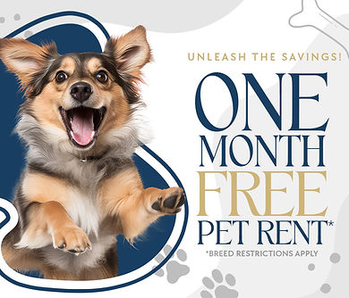 Windmill Pointe - Dog Friendly Special - With Offer.jpg