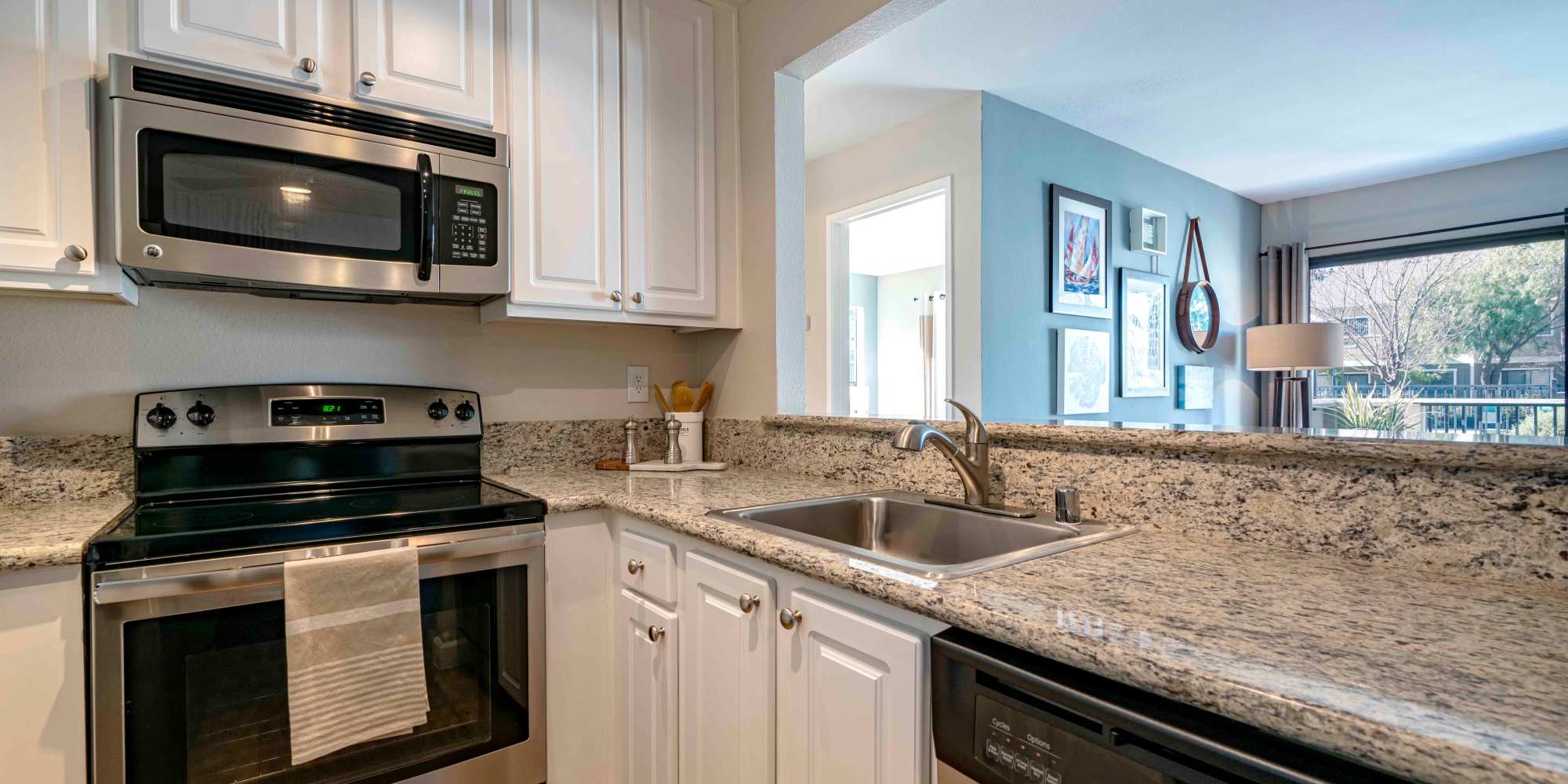 Modern Kitchen Appliances at Sofi Berryessa in San Jose, California