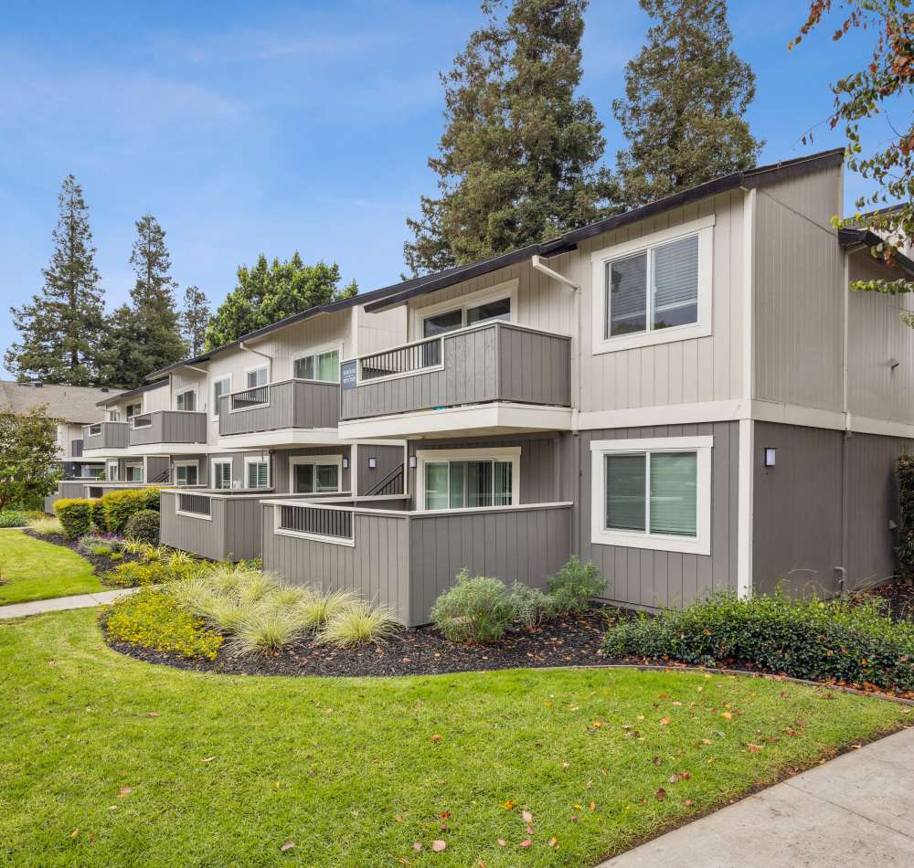 Professionally maintained landscaping outside the leasing center at Sofi Berryessa in San Jose, California