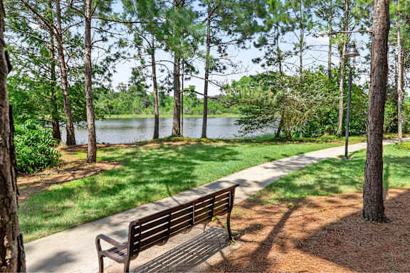 A park bench is situated on a concrete path next to a tree and a lake.
