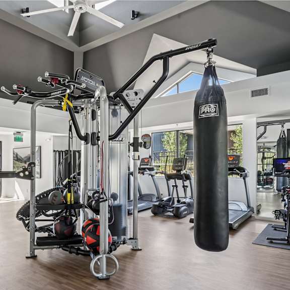 A gym with a variety of equipment including treadmills, weights, and a rowing machine.