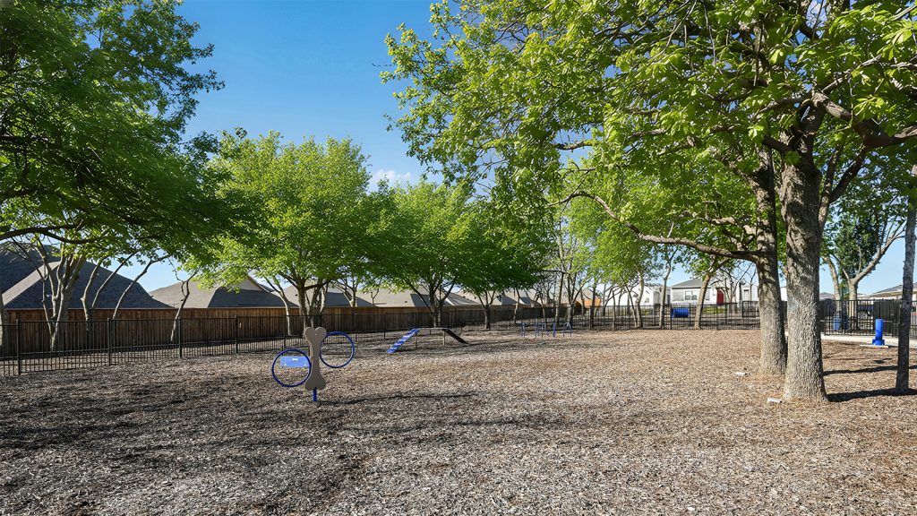 dog park image