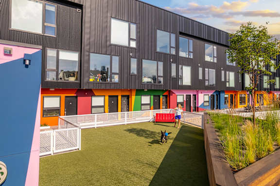A person is walking a dog on a green lawn in front of a colorful building.