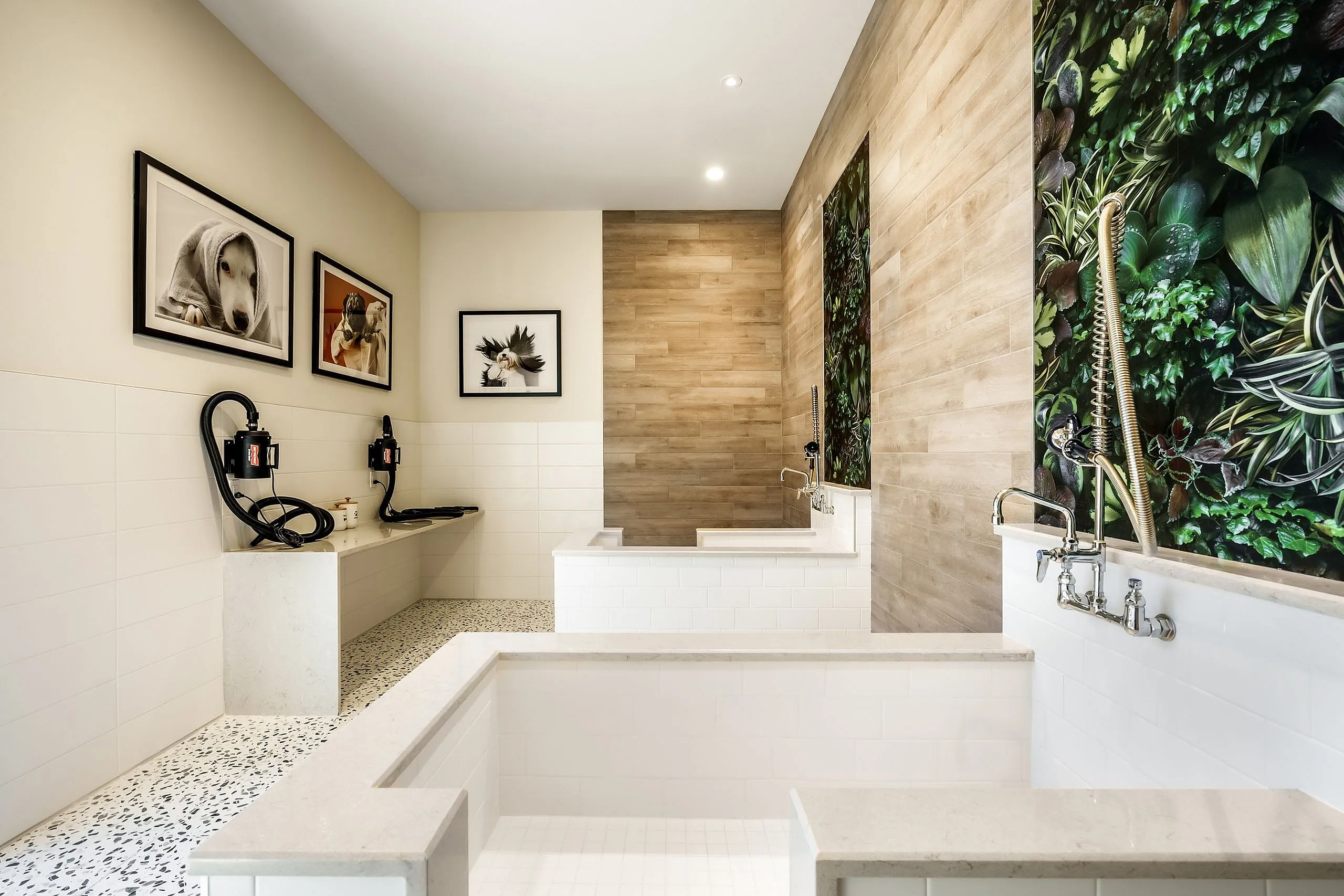 Chic apartment pet wash area featuring modern white tiles, elegant wood accents, and vibrant plant artwork.