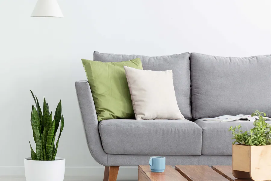 Apartment Features