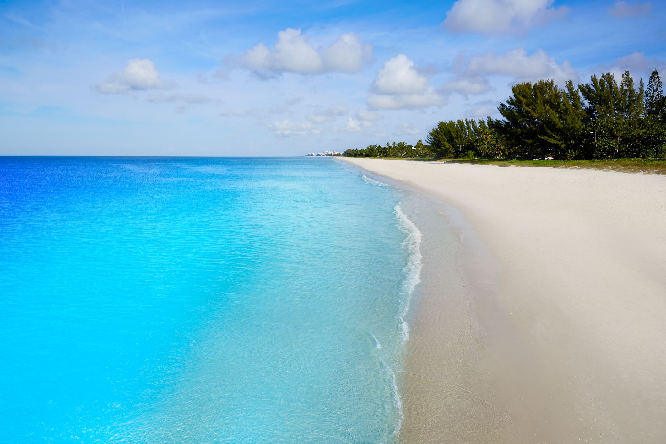 image of the shoreline on a beautiful day