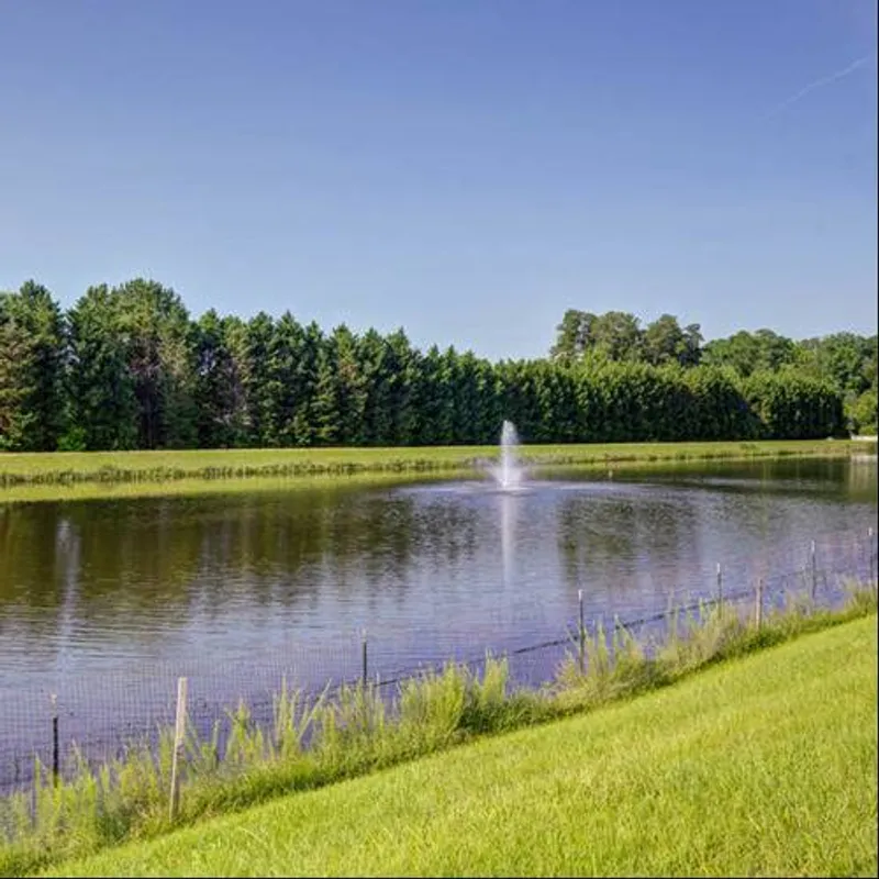 Pond