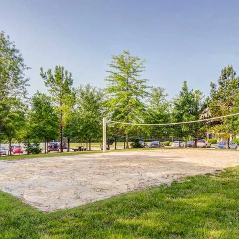 Volleyball court