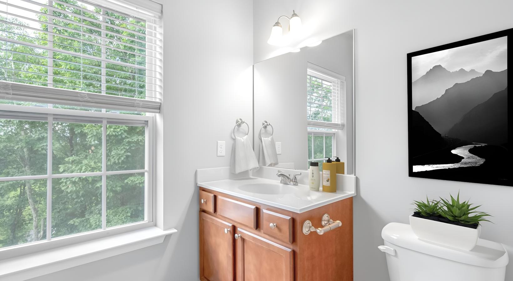 a bathroom with a sink and a toilet