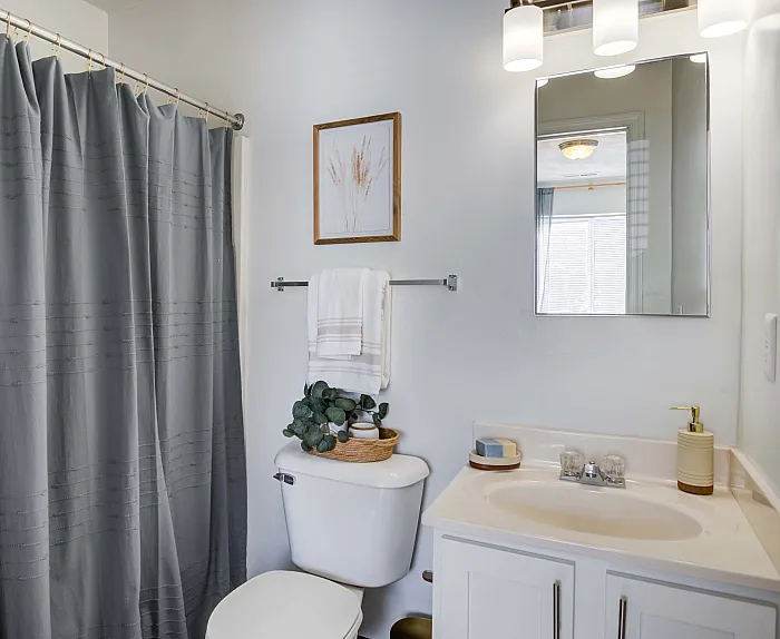 Elegant bathroom featuring a modern sink, stylish mirror, and cozy shower area with a soothing gray curtain.