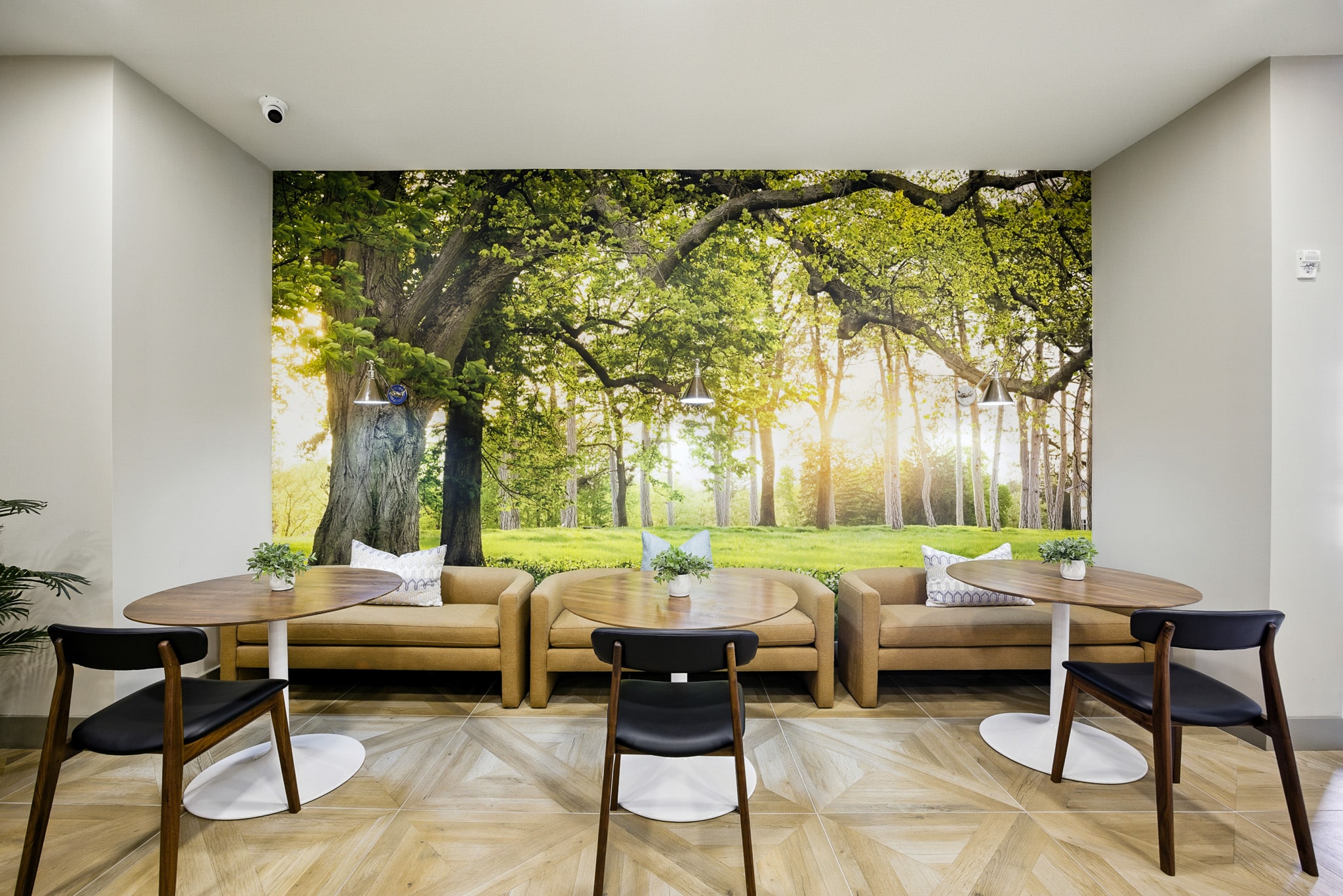 Modern lounge area with wooden tables, black chairs, tan sofas, and a large wall mural depicting a sunlit forest scene.