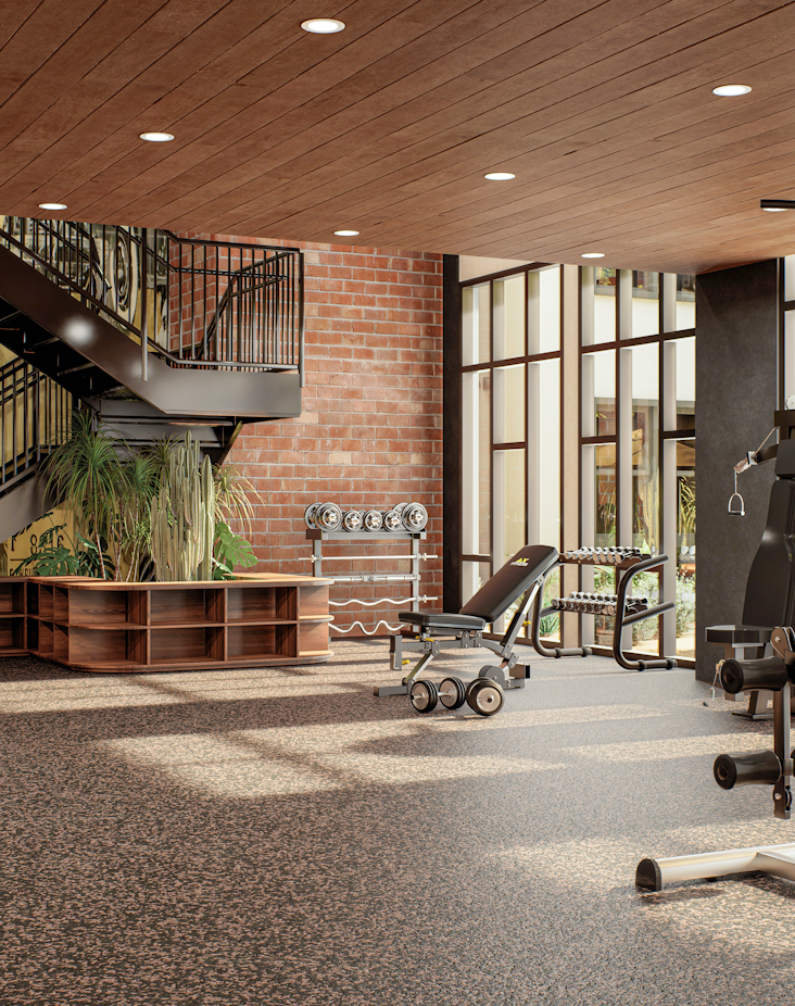 12 FITNESS