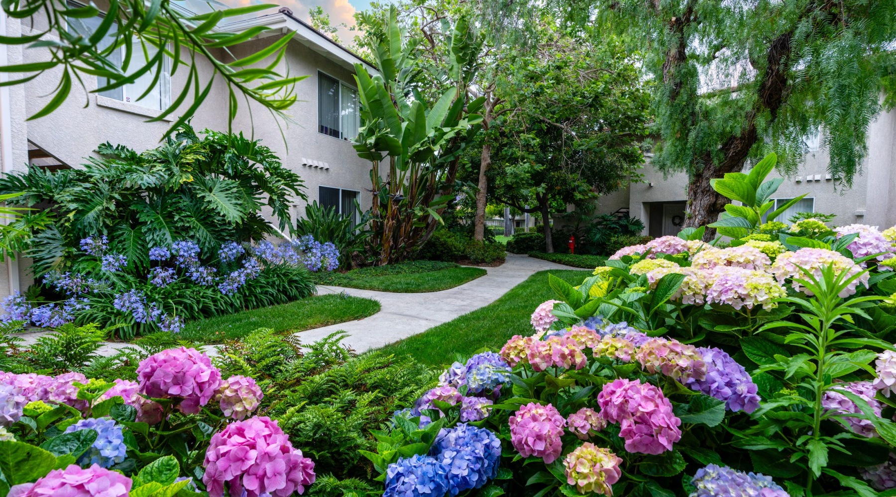a lush garden next to a building