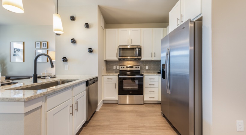 Kitchen and gooseneck faucet