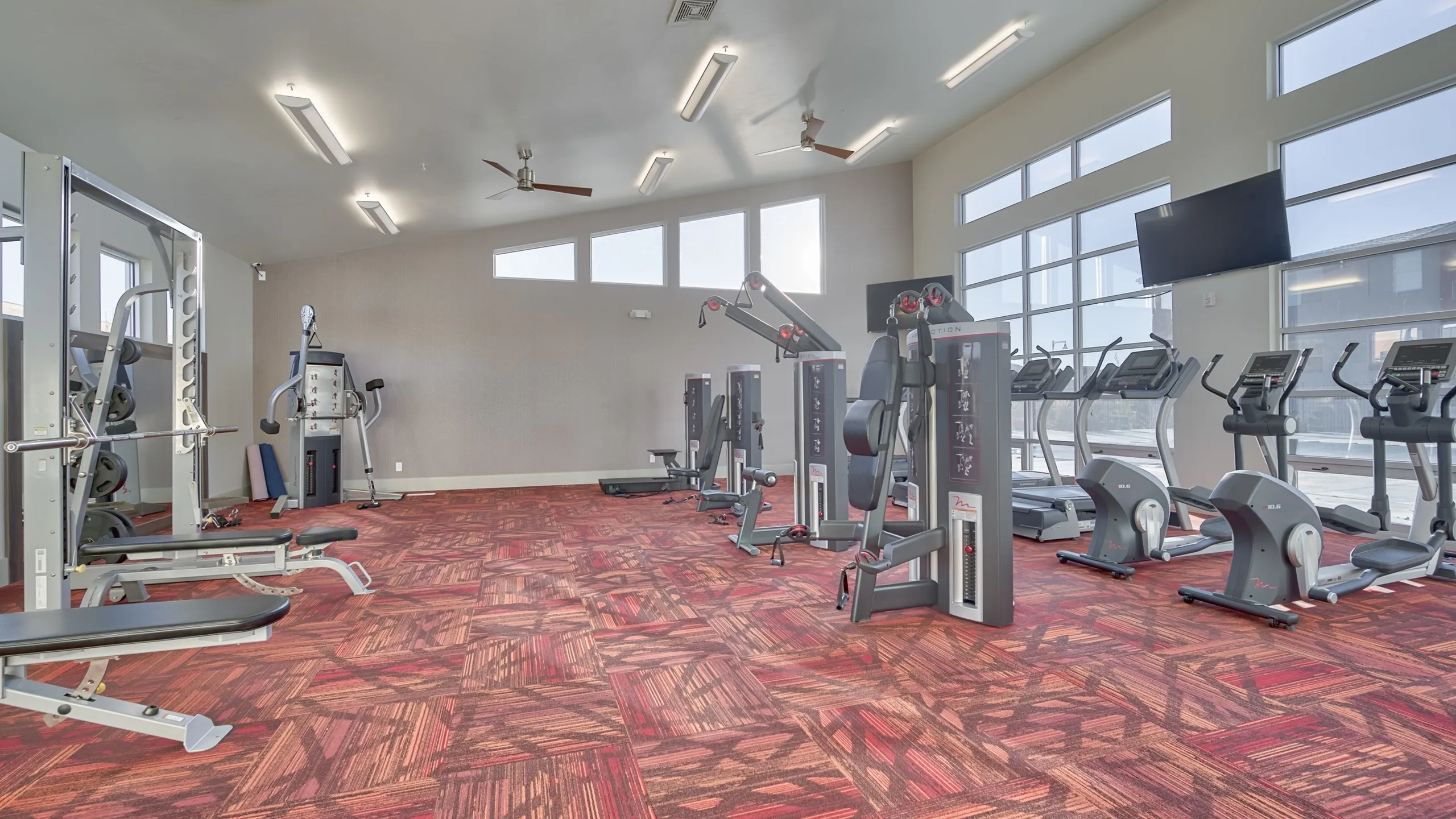fitness