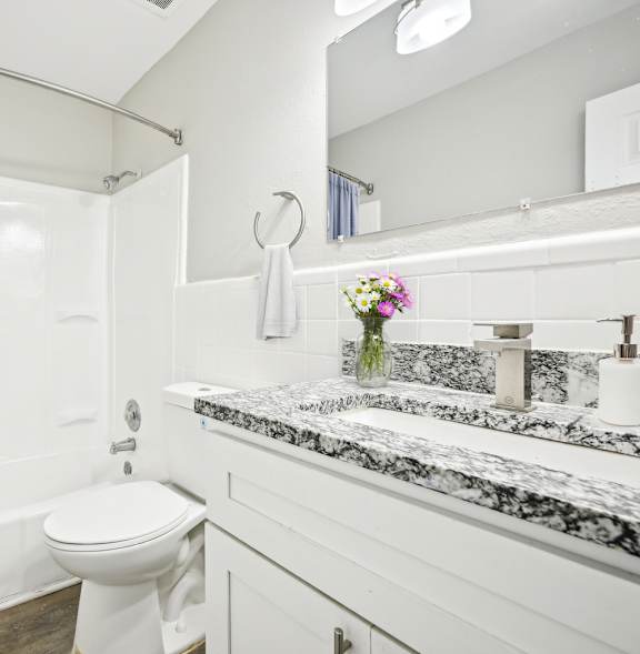 Modern bathroom with tub and shower in affordable Amber Grove apartment in Marietta GA