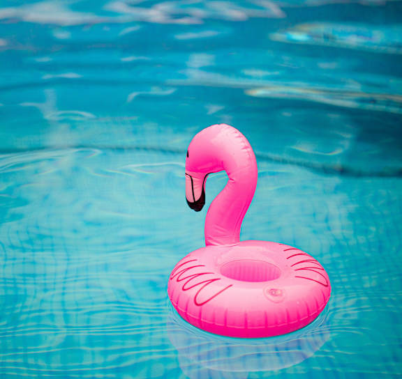 A pink flamingo float in a blue pool.
