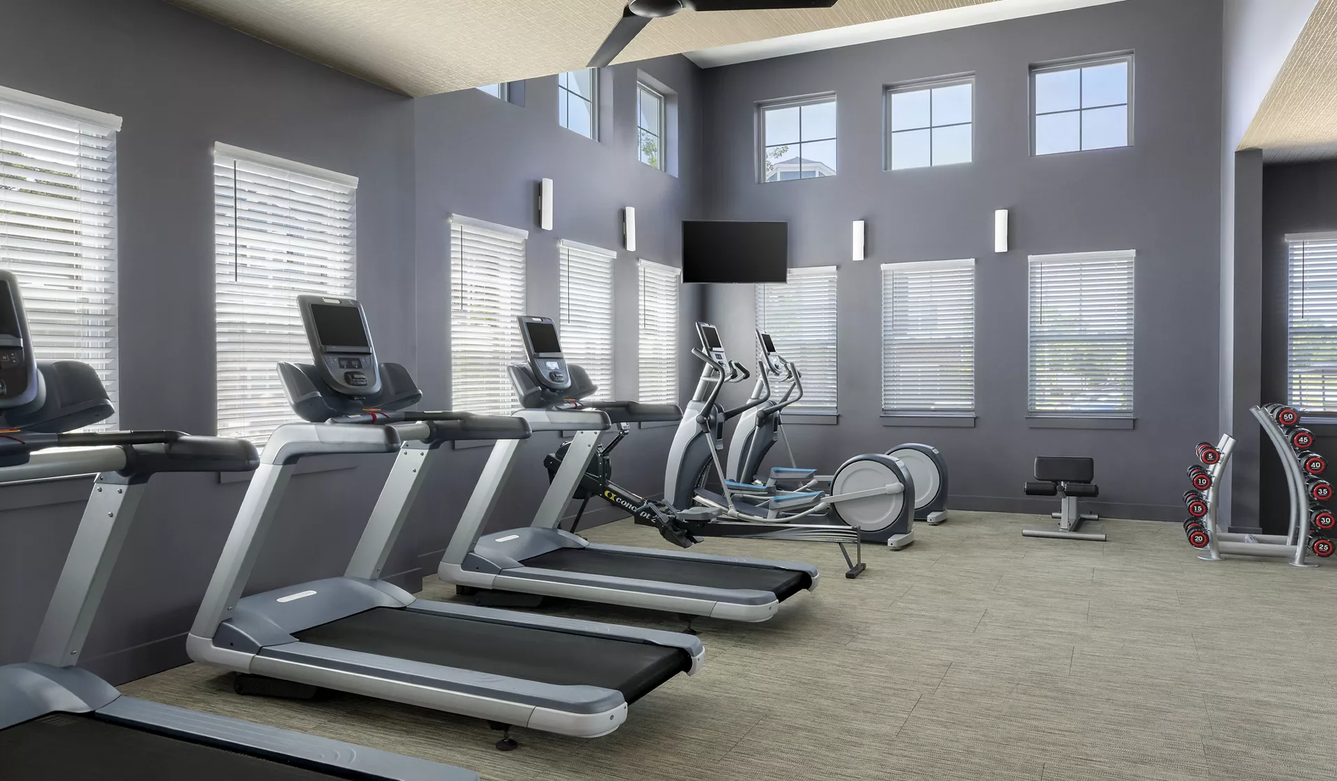 Treeline Timber Creek - Garner, NC - Fitness Center