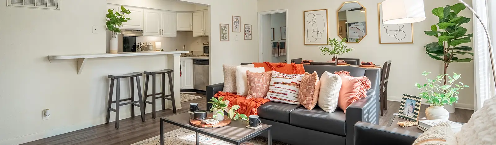 furnished living space