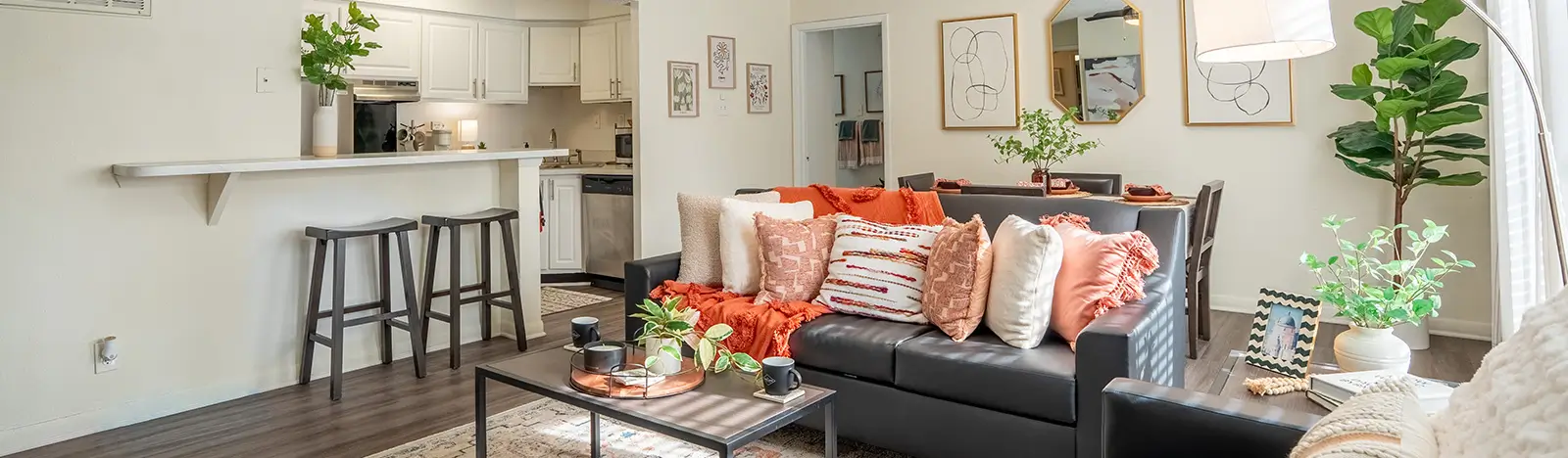 furnished living space