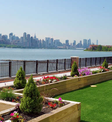 A city skyline is visible in the distance behind a row of flower beds.